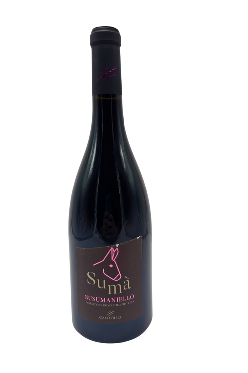 Cantolio Sumà Susumaniello – Produktansicht 1
