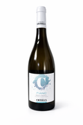 Vinicola Cicella Fiano Bianco Salento IGP – Produktansicht 1