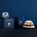 Fiasconaro Montenero Panettone 700 g – Produktansicht
